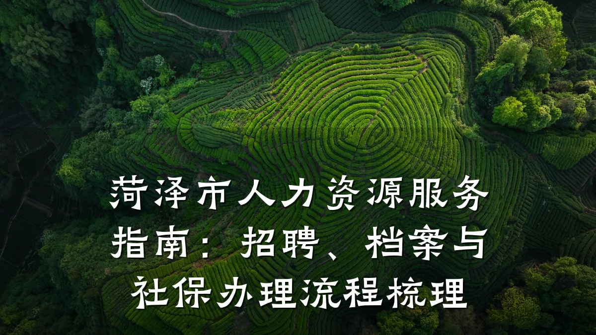 菏泽市人力资源服务指南:招聘、档案与社保办理流程梳理