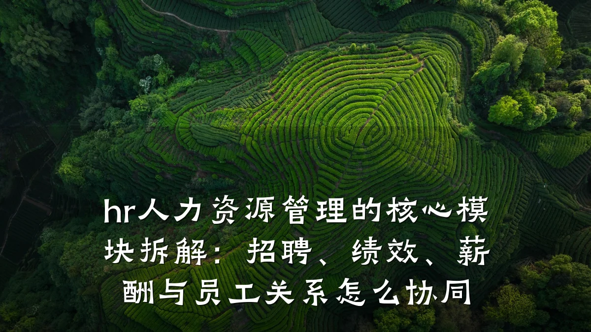 hr人力资源管理的核心模块拆解:招聘、绩效、薪酬与员工关系怎么协同