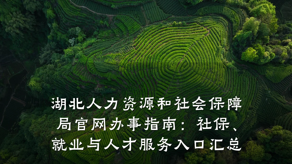 湖北人力资源和社会保障局官网办事指南:社保、就业与人才服务入口汇总