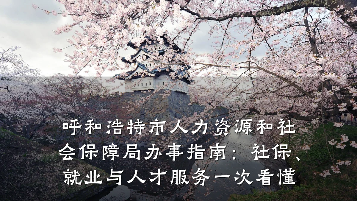 呼和浩特市人力资源和社会保障局办事指南:社保、就业与人才服务一次看懂