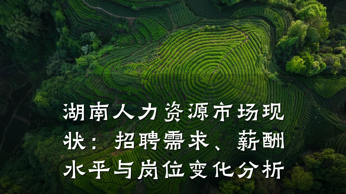 湖南人力资源市场现状:招聘需求、薪酬水平与岗位变化分析