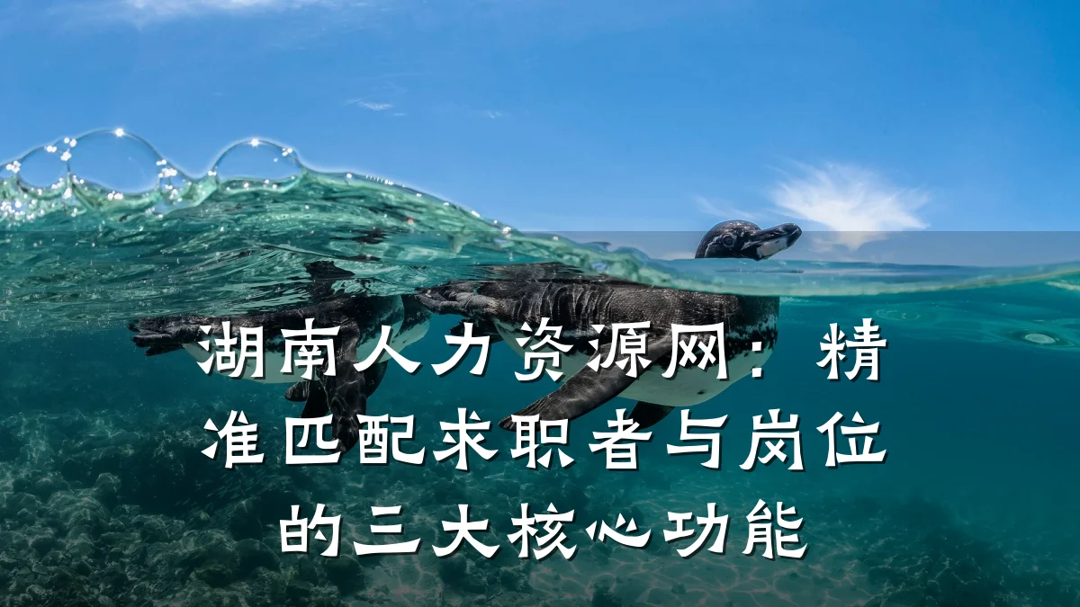 湖南人力资源网：精准匹配求职者与岗位的三大核心功能
