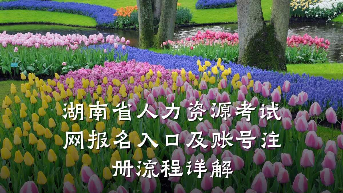 湖南省人力资源考试网报名入口及账号注册流程详解