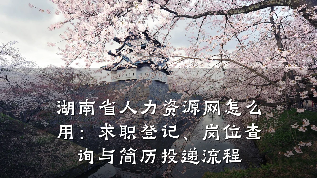 湖南省人力资源网怎么用：求职登记、岗位查询与简历投递流程