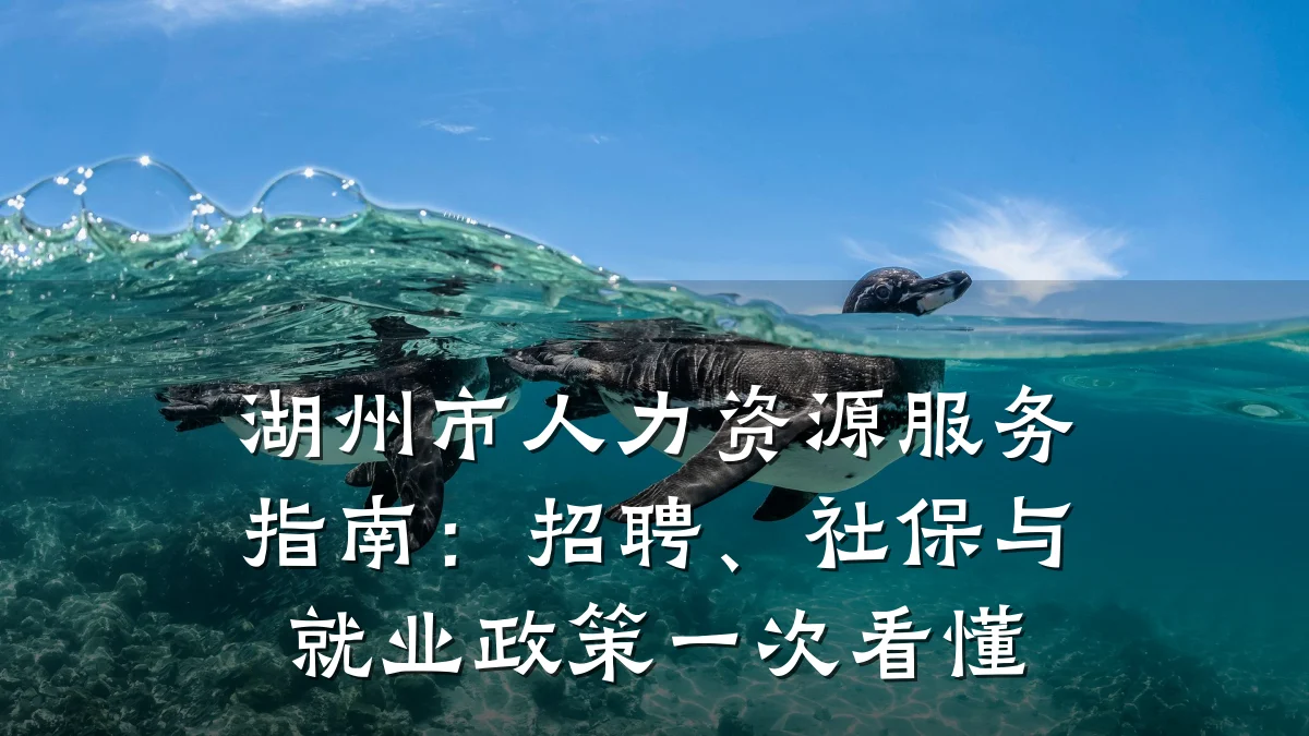 湖州市人力资源服务指南:招聘、社保与就业政策一次看懂