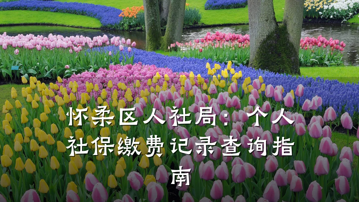 怀柔区人社局：个人社保缴费记录查询指南