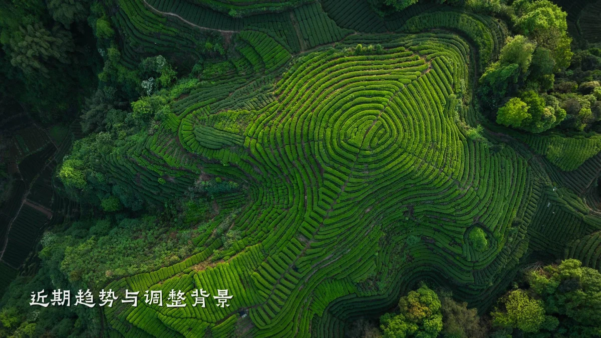 近期趋势与调整背景