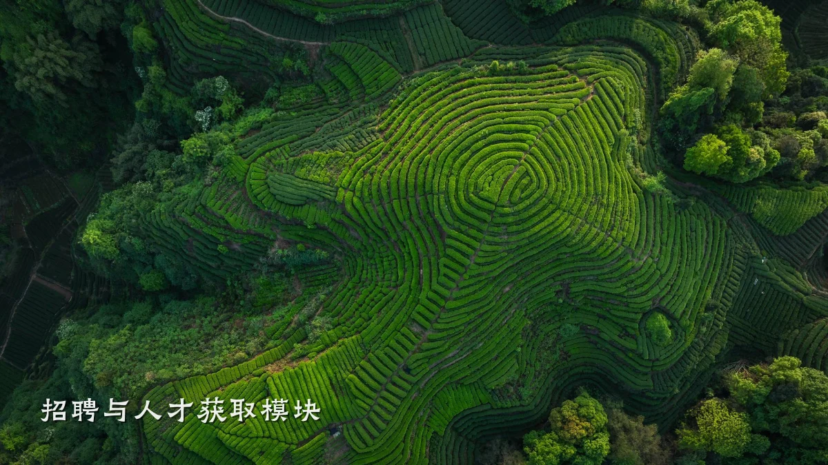 招聘与人才获取模块