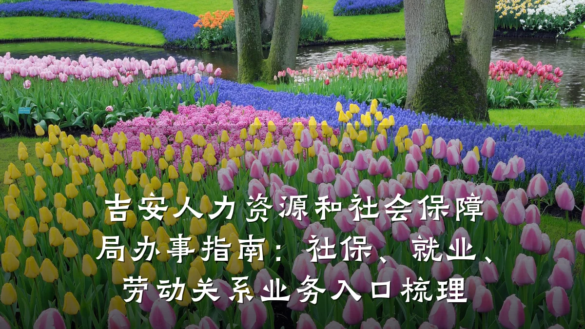 吉安人力资源和社会保障局办事指南:社保、就业、劳动关系业务入口梳理