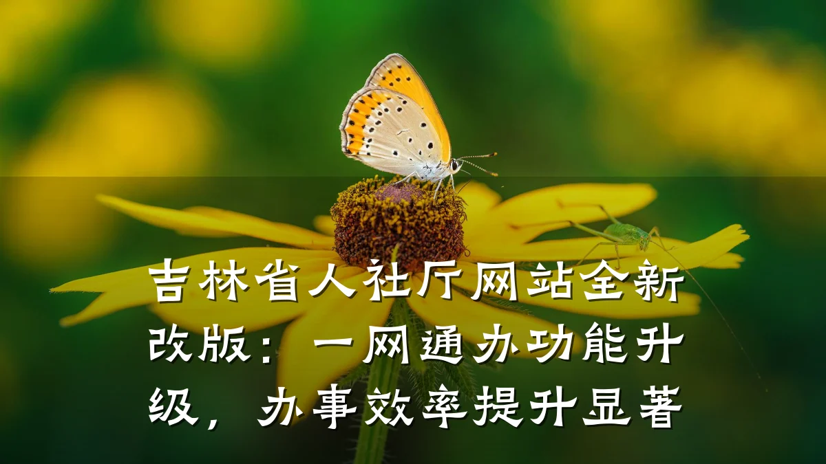 吉林省人社厅网站全新改版：一网通办功能升级，办事效率提升显著