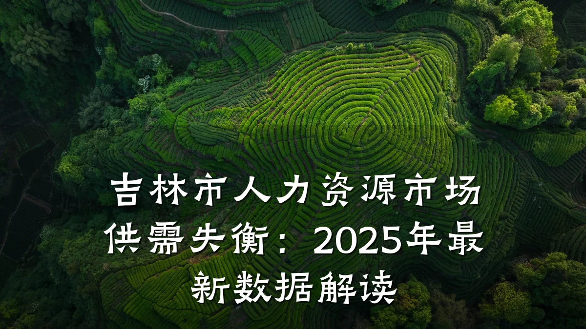 吉林市人力资源市场供需失衡：2025年最新数据解读
