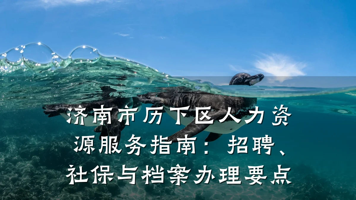 济南市历下区人力资源服务指南：招聘、社保与档案办理要点