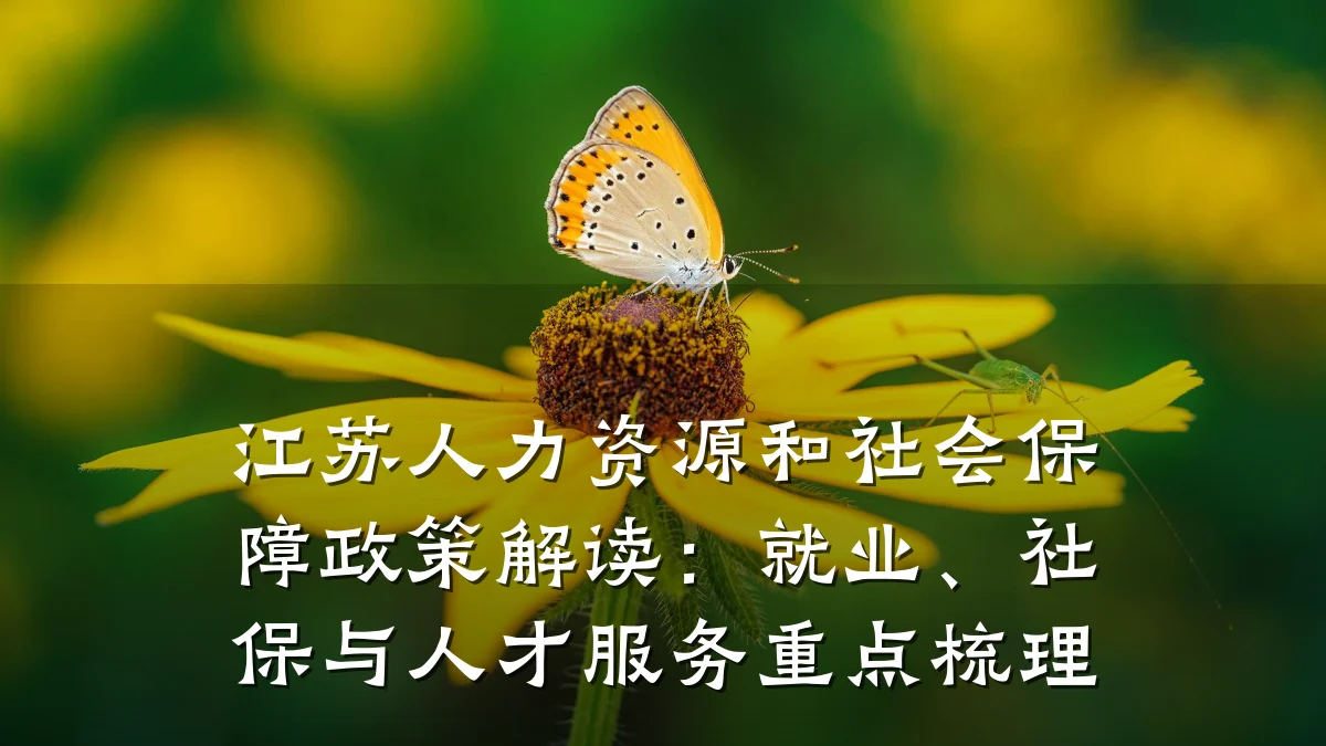 江苏人力资源和社会保障政策解读：就业、社保与人才服务重点梳理
