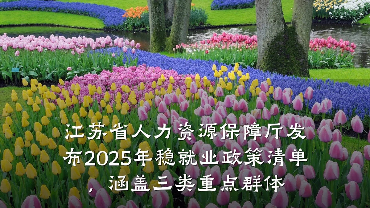 江苏省人力资源保障厅发布2025年稳就业政策清单,涵盖三类重点群体