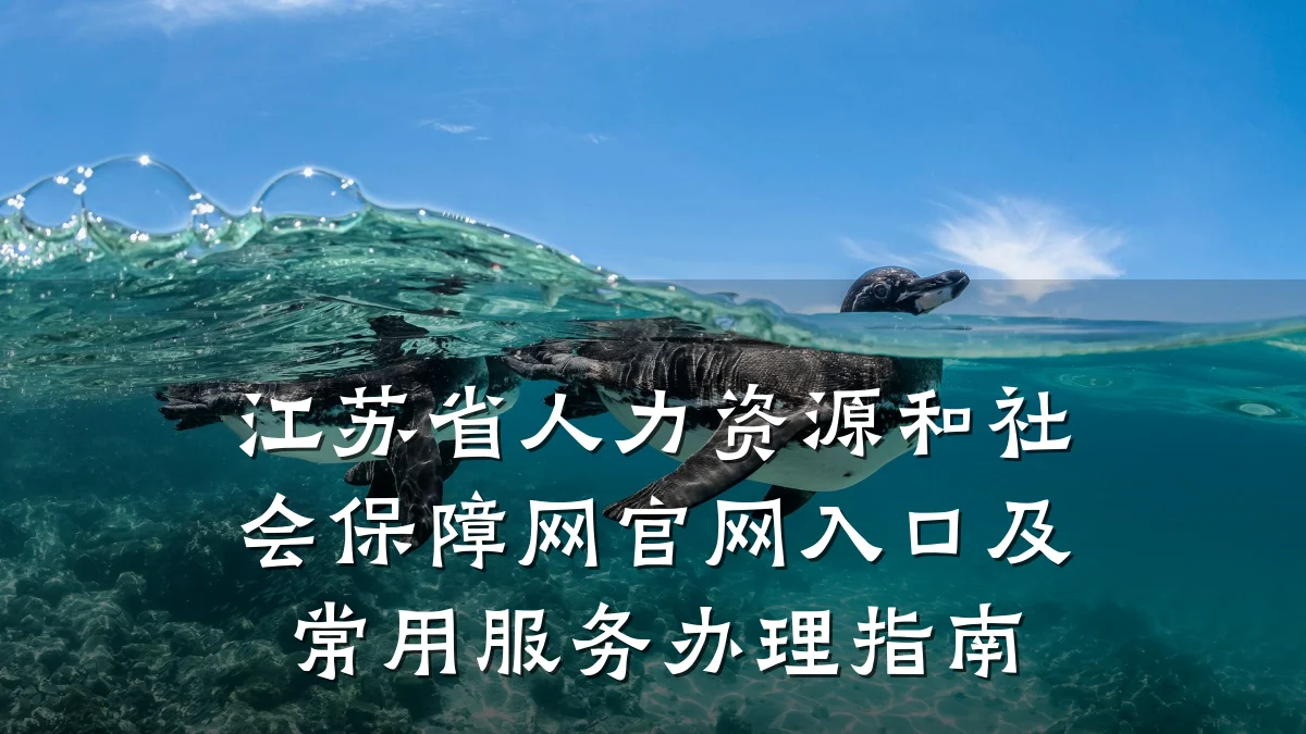 江苏省人力资源和社会保障网官网入口及常用服务办理指南