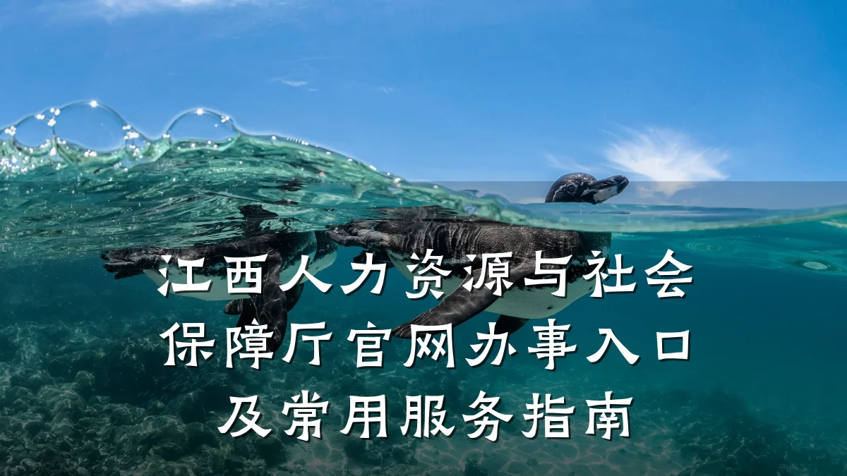 江西人力资源与社会保障厅官网办事入口及常用服务指南