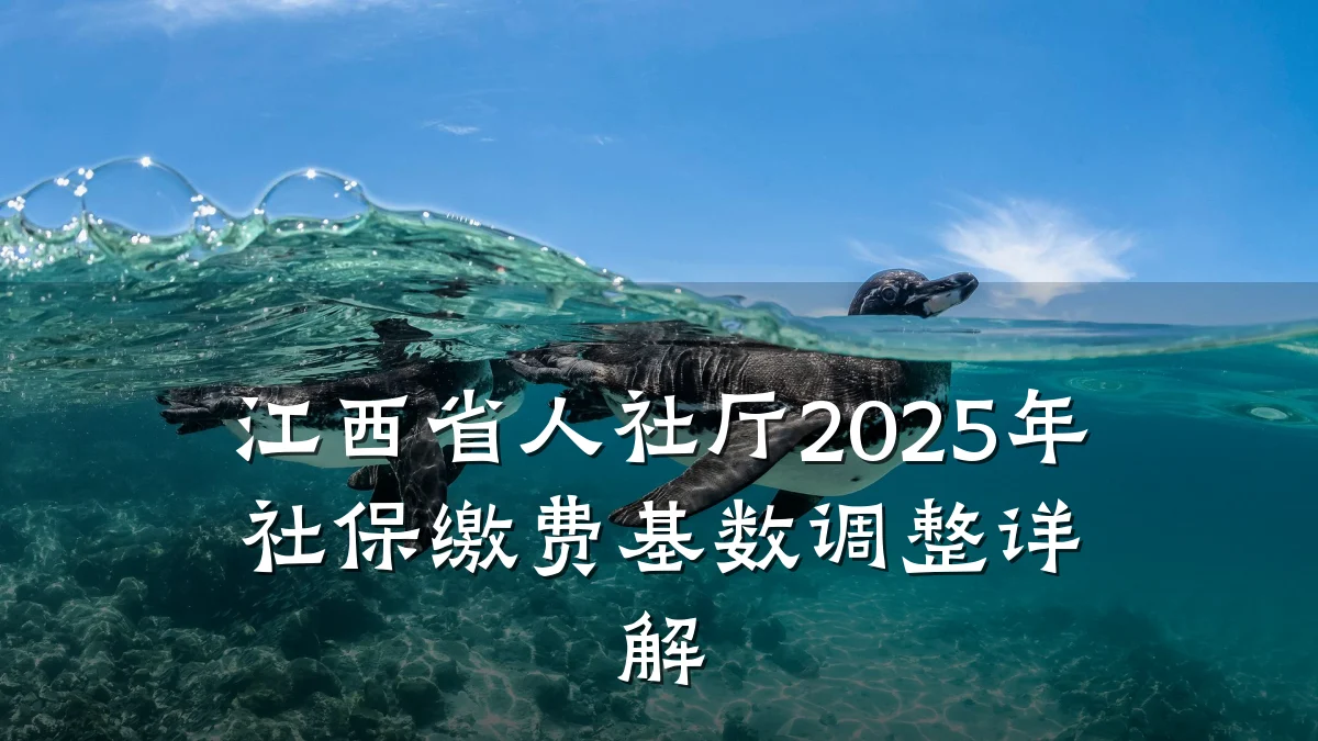 江西省人社厅2025年社保缴费基数调整详解