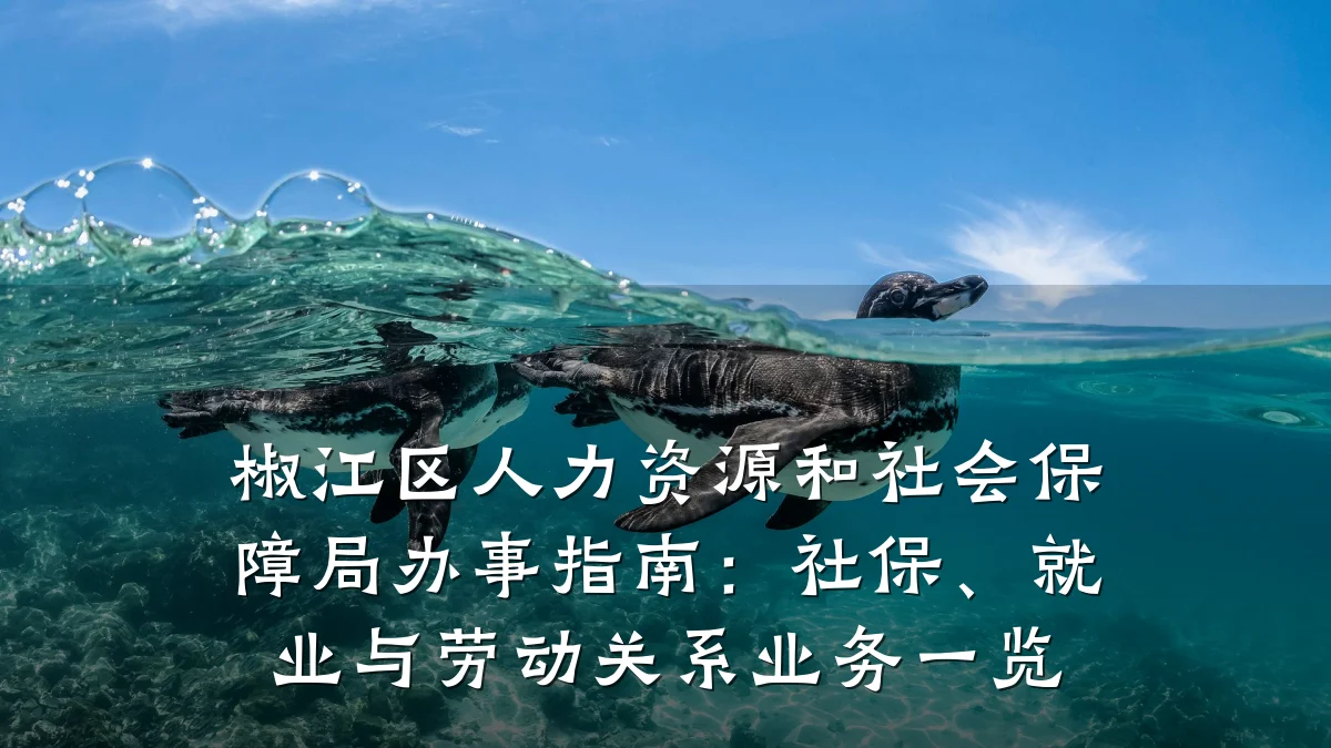 椒江区人力资源和社会保障局办事指南：社保、就业与劳动关系业务一览