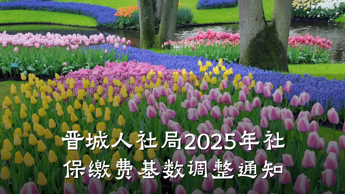 晋城人社局2025年社保缴费基数调整通知