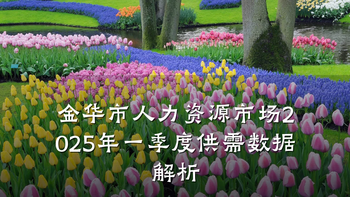 金华市人力资源市场2025年一季度供需数据解析