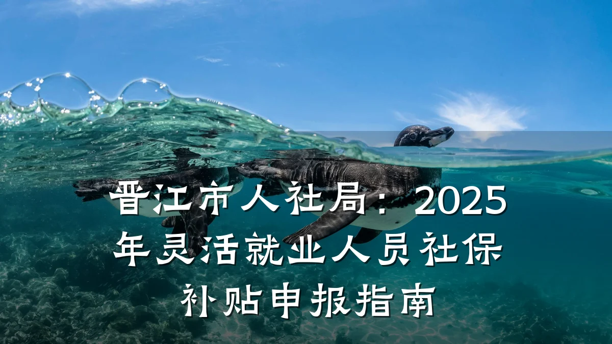 晋江市人社局：2025年灵活就业人员社保补贴申报指南