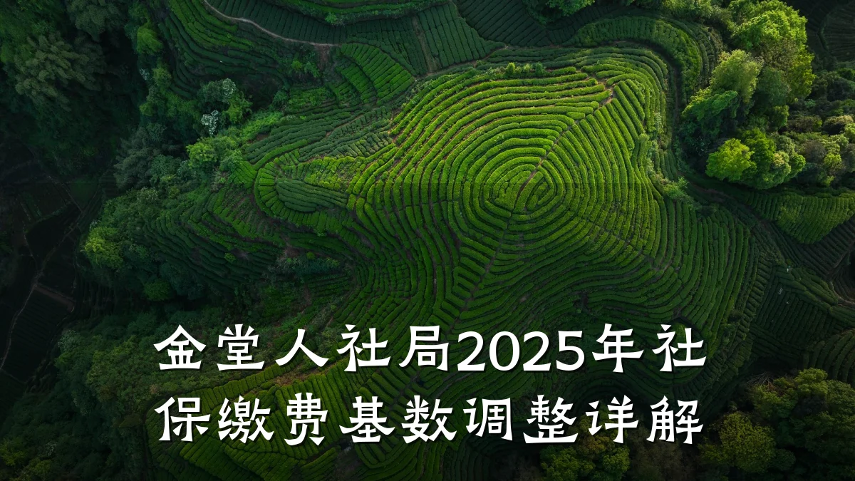 金堂人社局2025年社保缴费基数调整详解