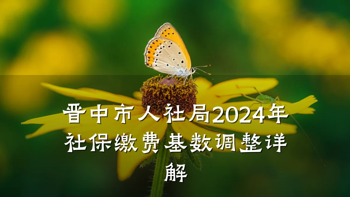 晋中市人社局2024年社保缴费基数调整详解