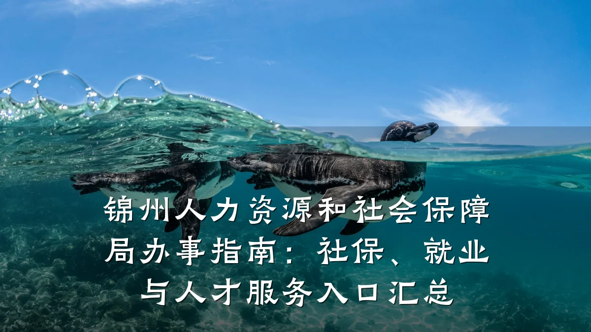 锦州人力资源和社会保障局办事指南：社保、就业与人才服务入口汇总
