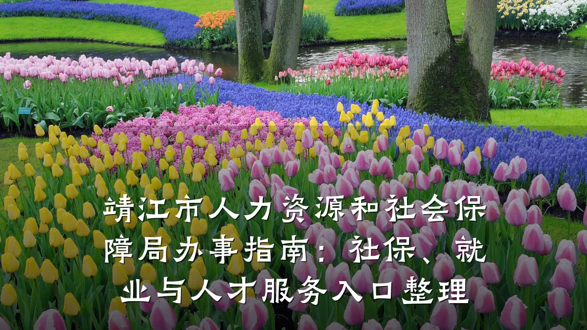 靖江市人力资源和社会保障局办事指南:社保、就业与人才服务入口整理