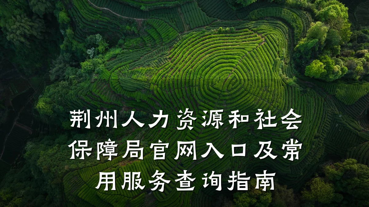 荆州人力资源和社会保障局官网入口及常用服务查询指南