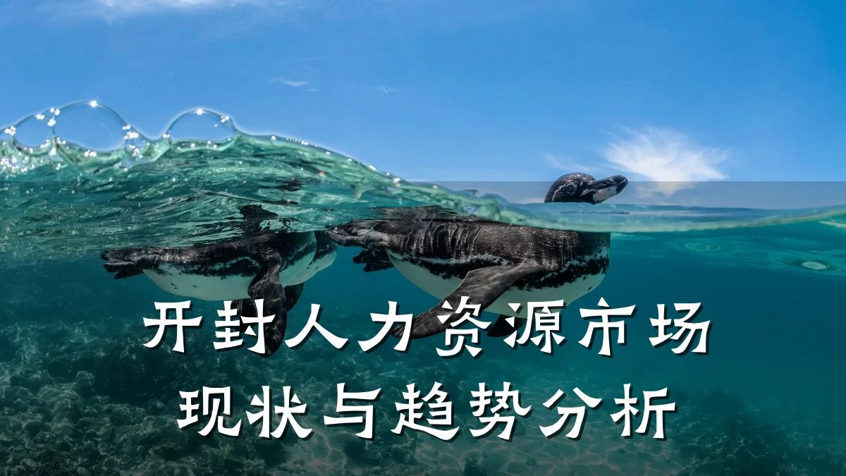 开封人力资源市场现状与趋势分析