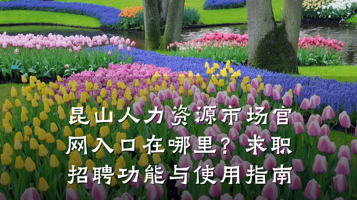 昆山人力资源市场官网入口在哪里？求职招聘功能与使用指南