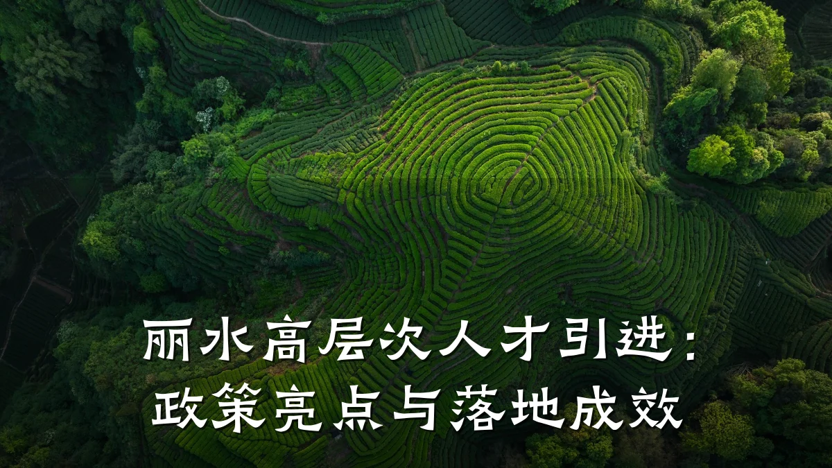 丽水高层次人才引进：政策亮点与落地成效