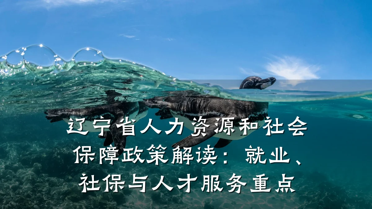 辽宁省人力资源和社会保障政策解读：就业、社保与人才服务重点