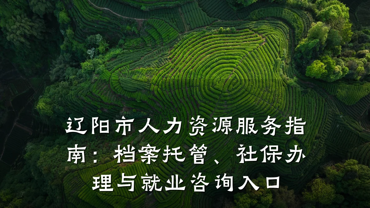 辽阳市人力资源服务指南：档案托管、社保办理与就业咨询入口