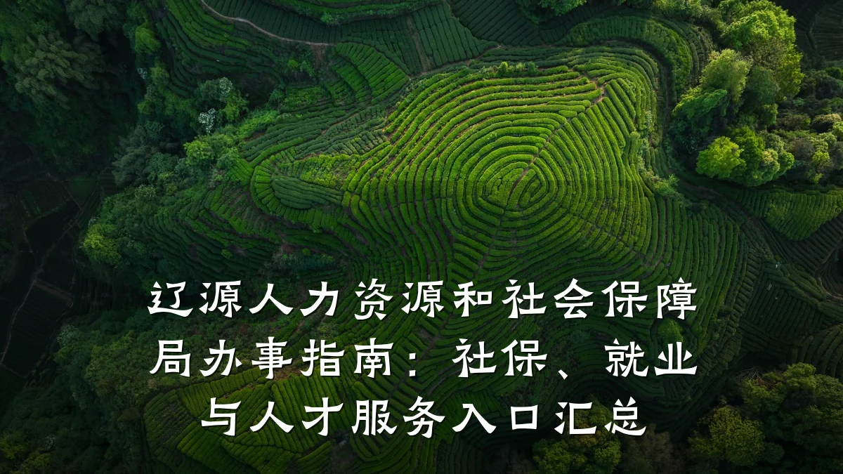 辽源人力资源和社会保障局办事指南:社保、就业与人才服务入口汇总