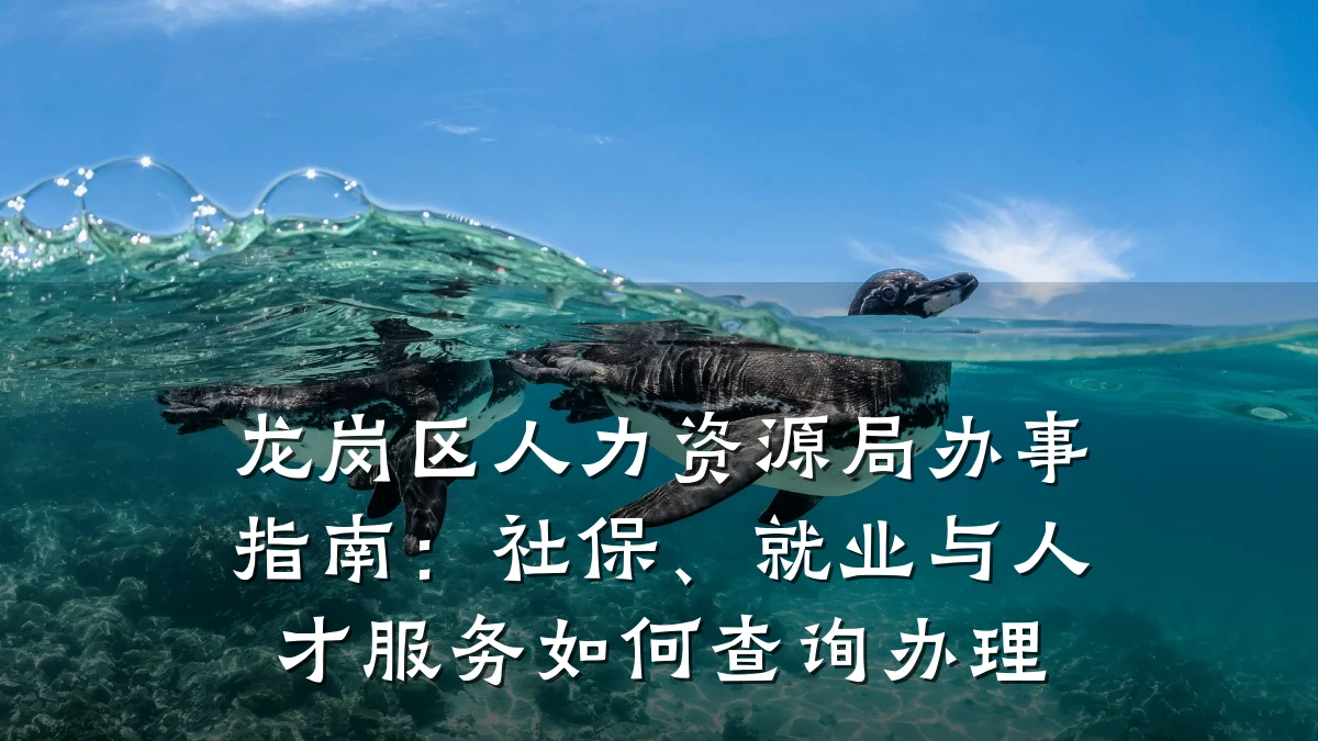 龙岗区人力资源局办事指南:社保、就业与人才服务如何查询办理