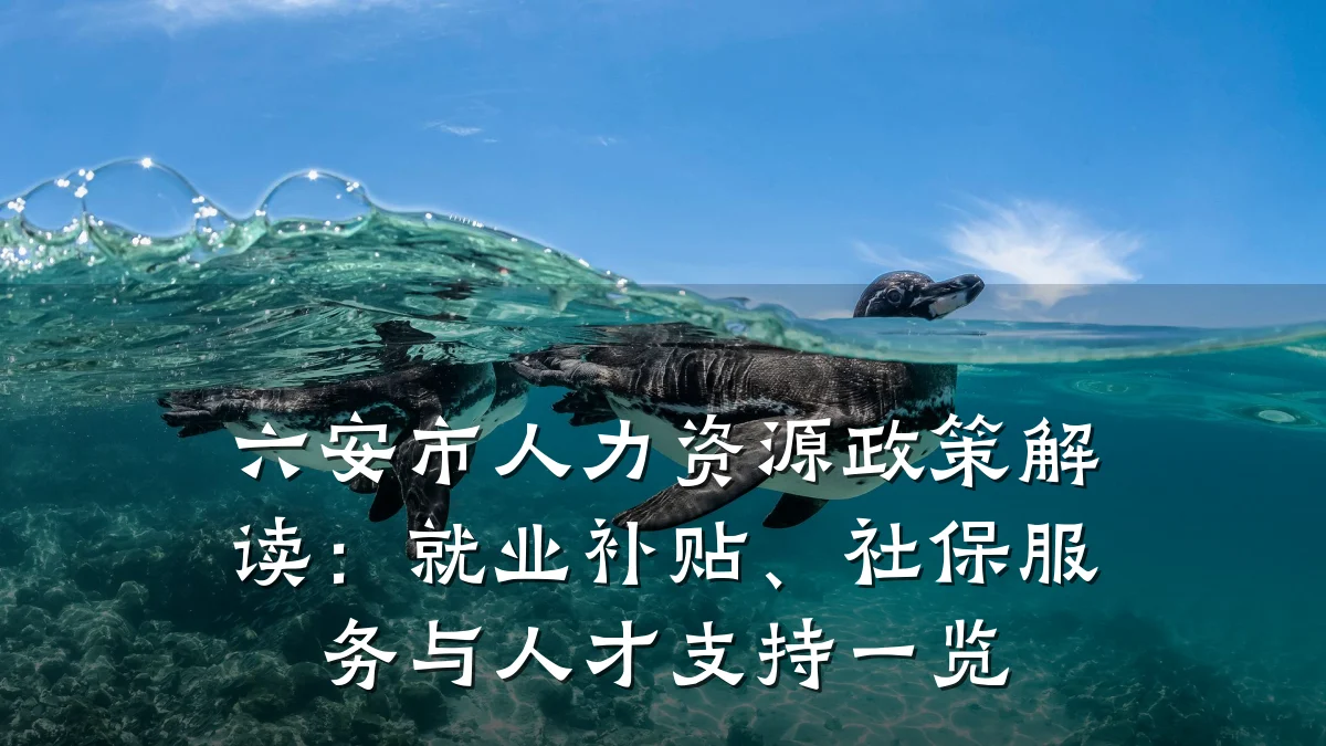 六安市人力资源政策解读:就业补贴、社保服务与人才支持一览