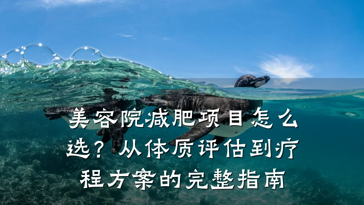 美容院减肥项目怎么选?从体质评估到疗程方案的完整指南
