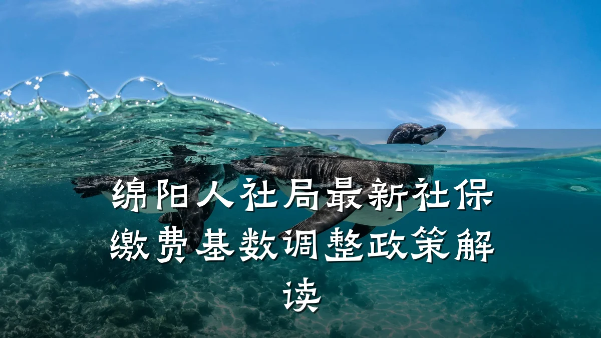 绵阳人社局最新社保缴费基数调整政策解读