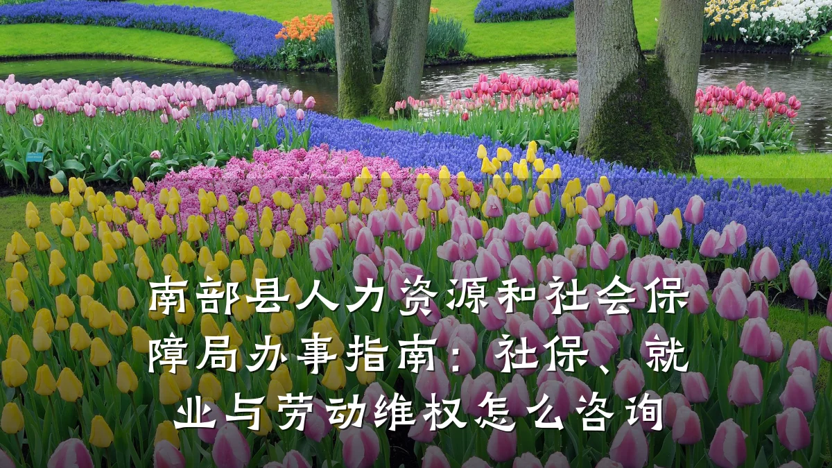 南部县人力资源和社会保障局办事指南:社保、就业与劳动维权怎么咨询