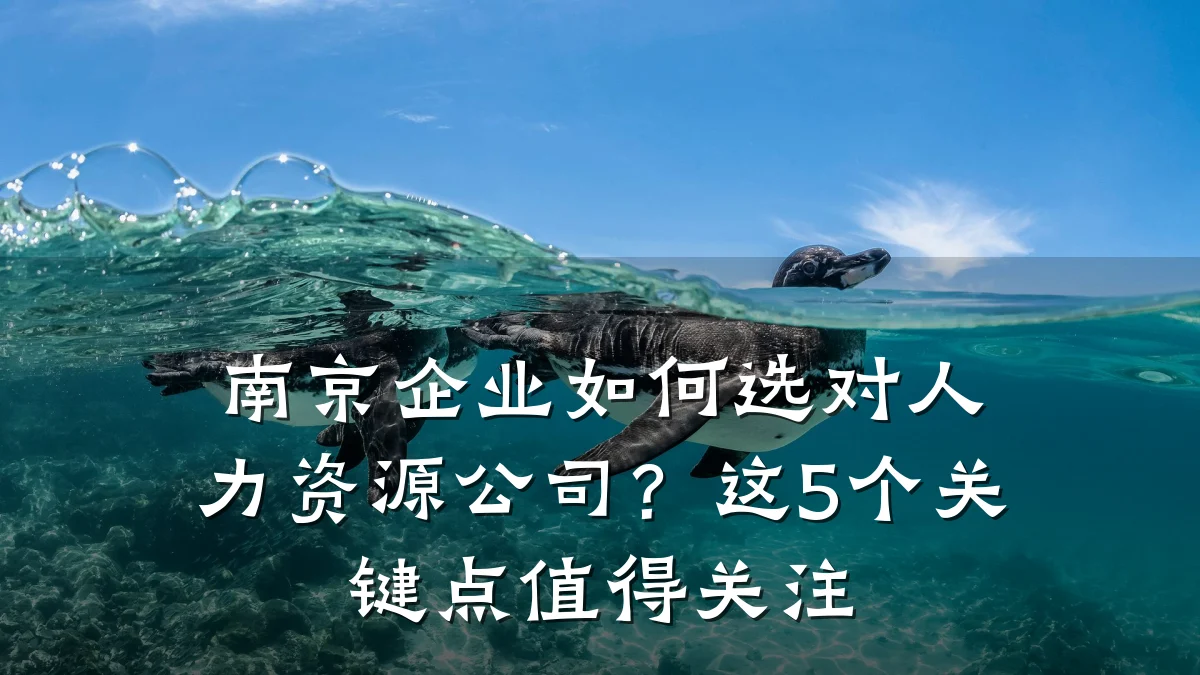 南京企业如何选对人力资源公司？这5个关键点值得关注