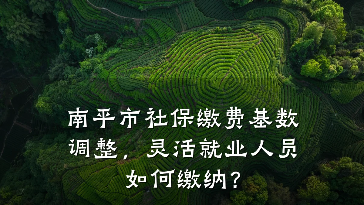 南平市社保缴费基数调整，灵活就业人员如何缴纳？