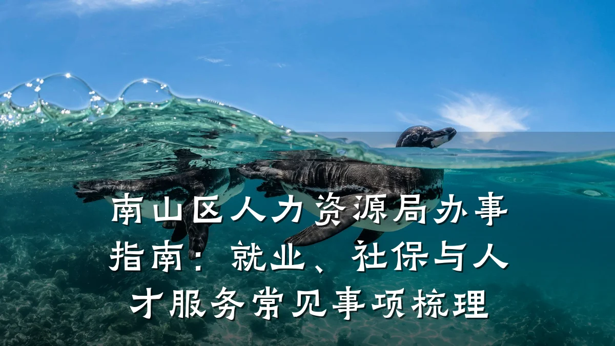 南山区人力资源局办事指南:就业、社保与人才服务常见事项梳理