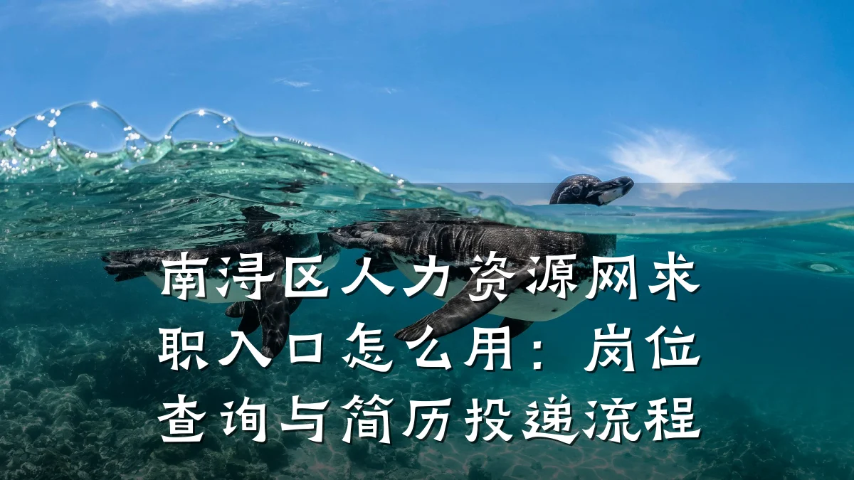南浔区人力资源网求职入口怎么用:岗位查询与简历投递流程