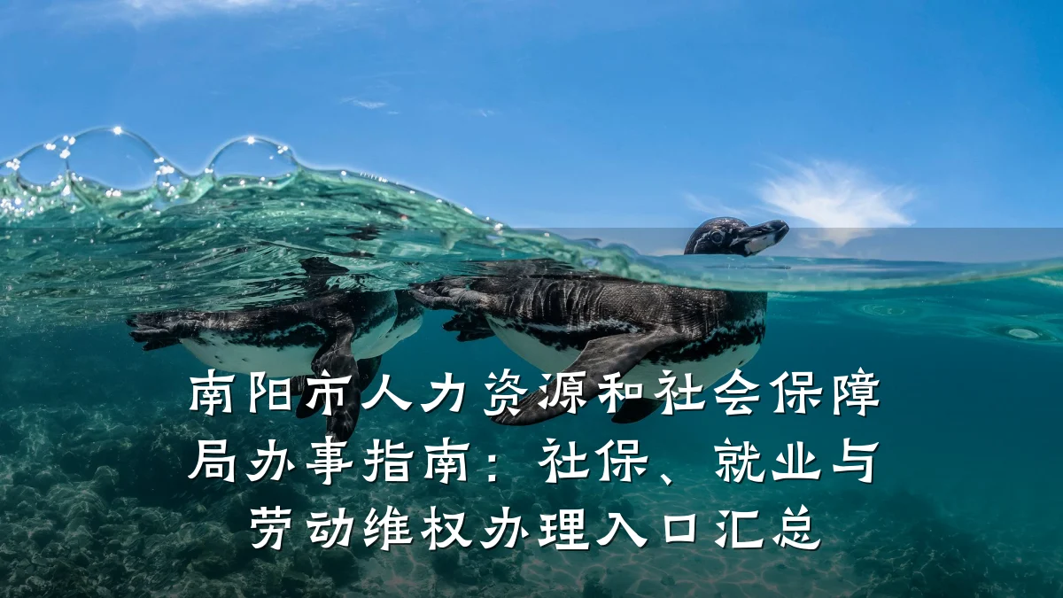 南阳市人力资源和社会保障局办事指南:社保、就业与劳动维权办理入口汇总
