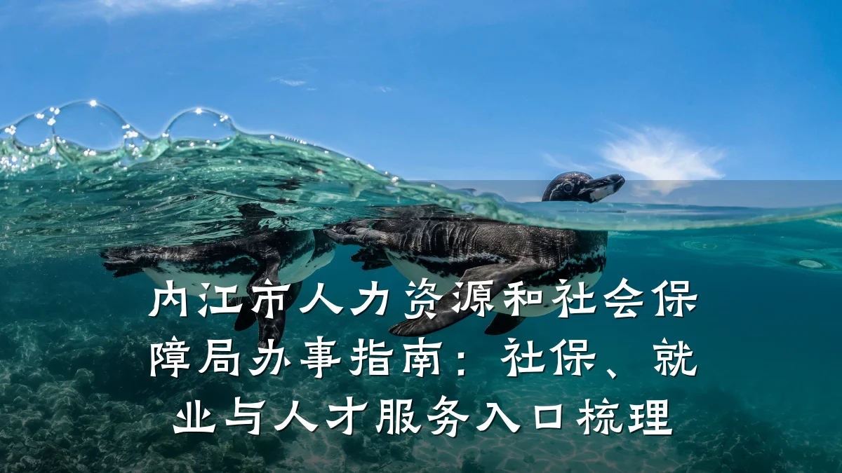 内江市人力资源和社会保障局办事指南:社保、就业与人才服务入口梳理