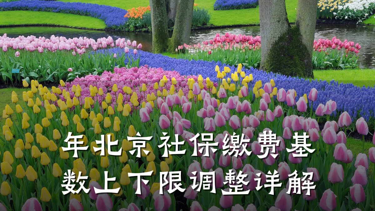 年北京社保缴费基数上下限调整详解