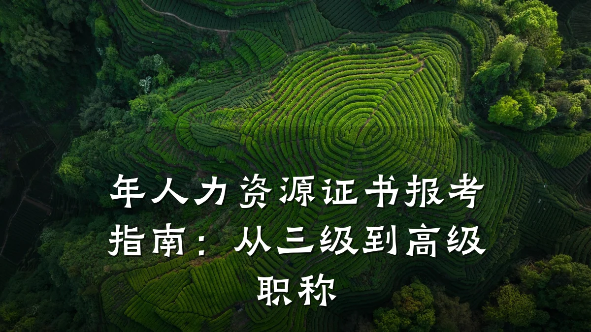 年人力资源证书报考指南：从三级到高级职称