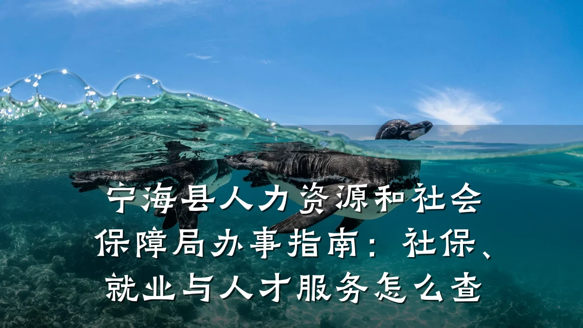 宁海县人力资源和社会保障局办事指南：社保、就业与人才服务怎么查